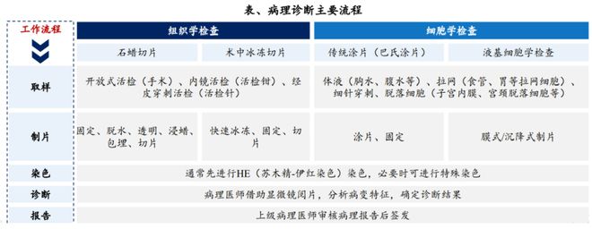 萬(wàn)億AI醫(yī)療核心風(fēng)口：AI輔助診斷 60家企業(yè)深度布局一文匯總！(圖7)